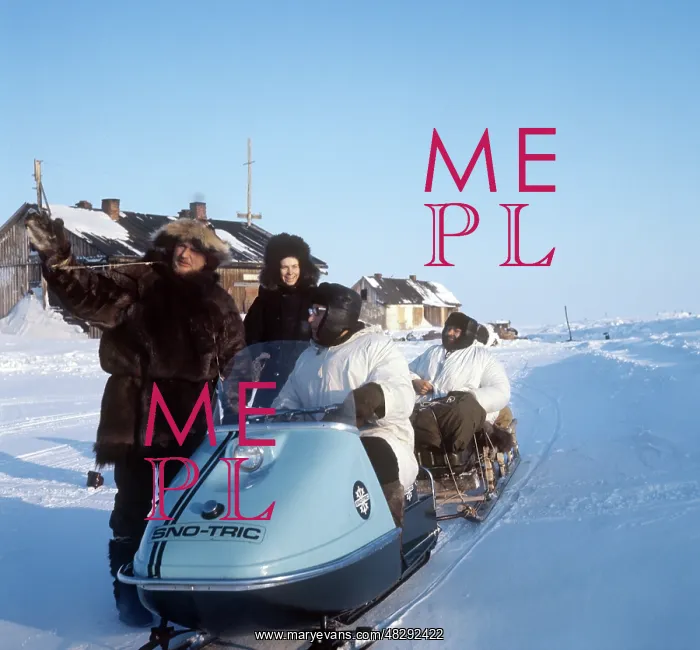 : On Wrangel Island, 1973 : On Wrangel Island, 1973