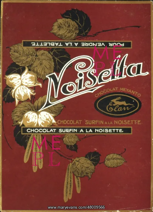 : Wrapper design for Noisetta chocolate : Wrapper design for Noisetta chocolate