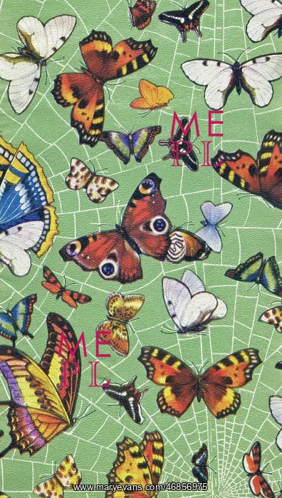 : Wrapping Paper Sample Design : Wrapping Paper Sample Design