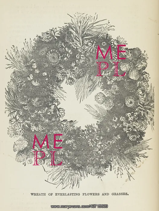 : Wreath of everlasting flowers and grasses : Wreath of everlasting flowers and grasses