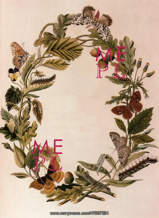 : Wreath with Insects : Wreath with Insects