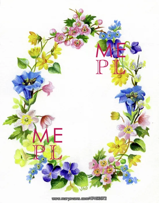 : Wreath of spring flowers : Wreath of spring flowers