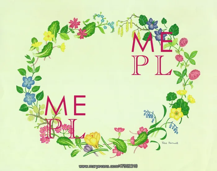 : Wreath of Spring Flowers ? primroses, violets etc : Wreath of Spring Flowers ? primroses, violets etc