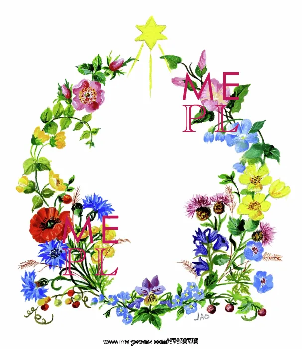 : A wreath of wild flowers, with star : A wreath of wild flowers, with star