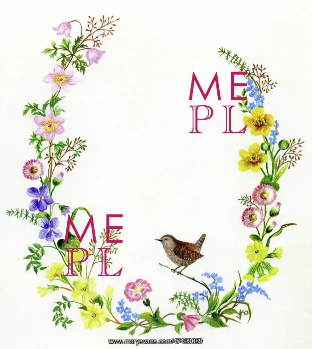 : Wreath of Wild Flowers and a Wren : Wreath of Wild Flowers and a Wren