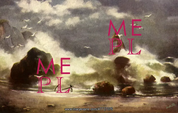 : Wreck on the Beach : Wreck on the Beach