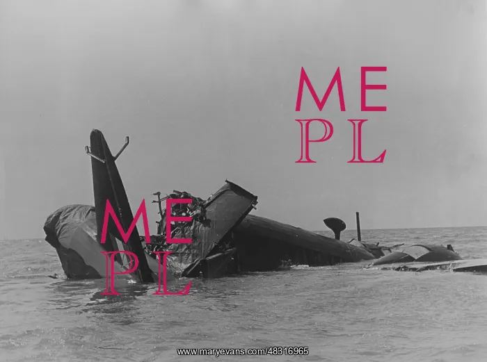 : Wreck of a British bomber, 1939 : Wreck of a British bomber, 1939