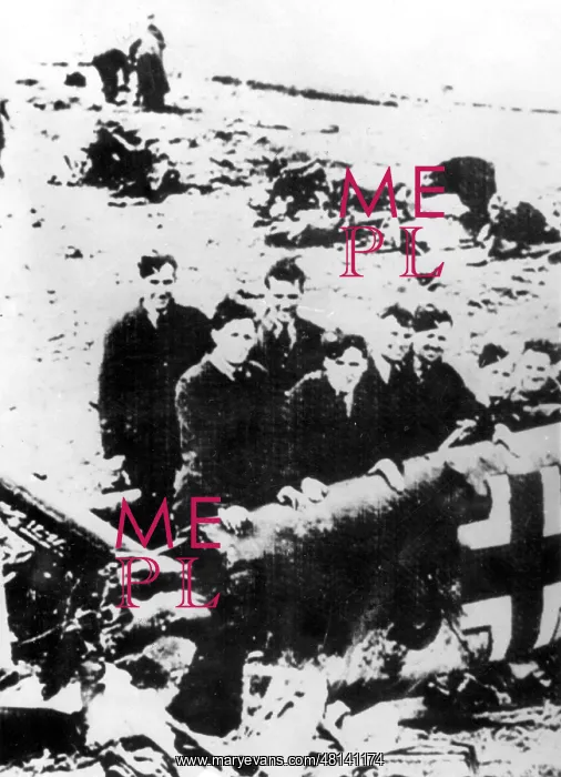 : Wreckage of the plane of Rudolf Hess, 1941 : Wreckage of the plane of Rudolf Hess, 1941