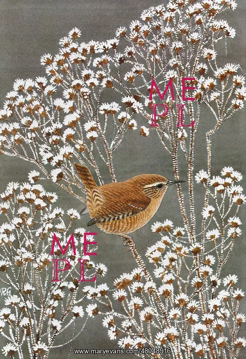 : Wren : Wren