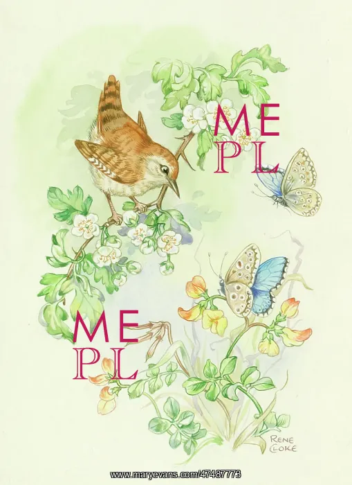  : Wren and two adonis blue butterflies