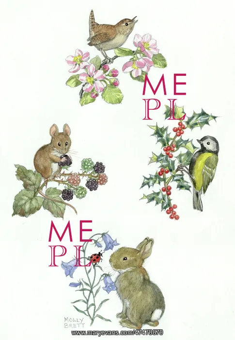 : Wren & blossom, mouse & bramble, tit & holly etc : Wren & blossom, mouse & bramble, tit & holly etc