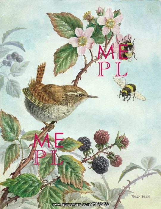 : Wren on Bramble ' with two bumble bees : Wren on Bramble ' with two bumble bees