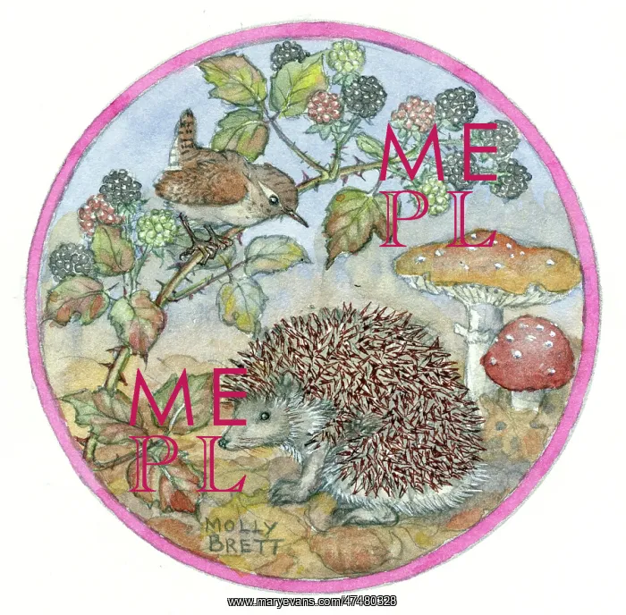 : Wren on bramble, hedgehog and toadstools : Wren on bramble, hedgehog and toadstools