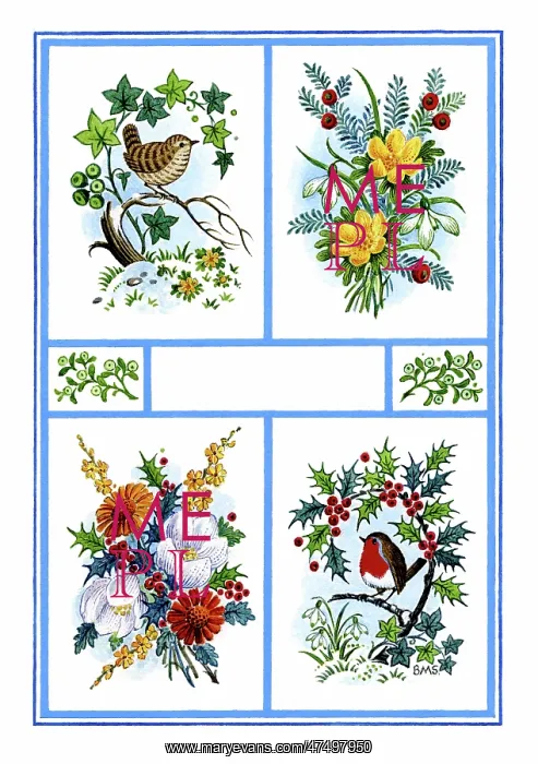 : Wren and ivy, Robin and holly : Wren and ivy, Robin and holly