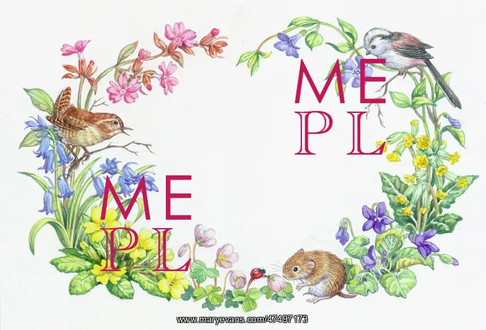 : Wren, Longtailed tit and vole with spring flowers : Wren, Longtailed tit and vole with spring flowers