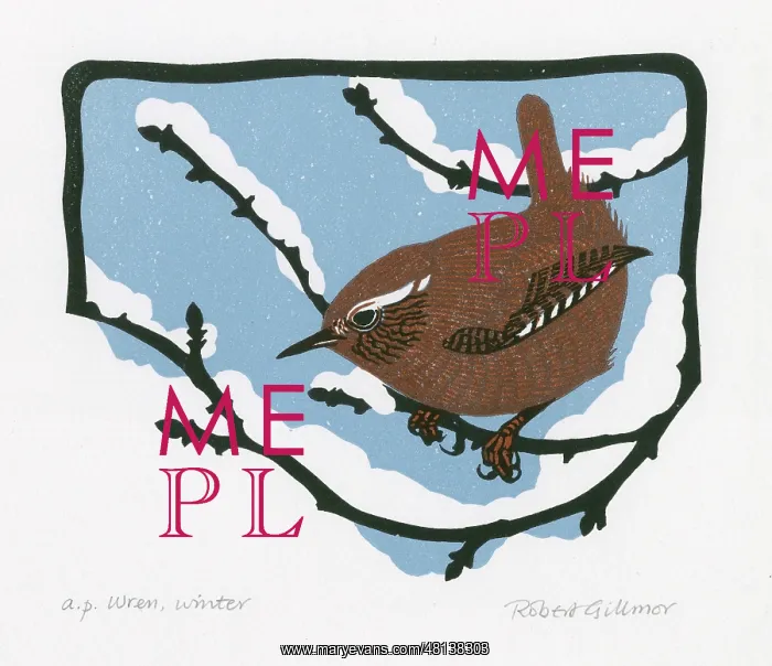 : Wren - Winter (2 / 2) : Wren - Winter (2 / 2)