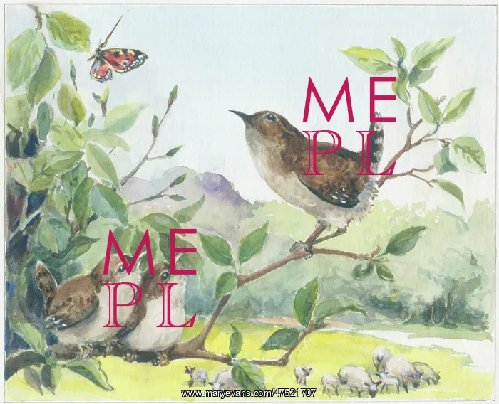 : Wren with two young on a branch : Wren with two young on a branch
