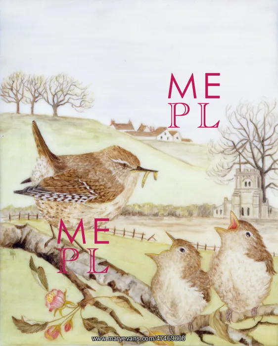 : Three Wrens : Three Wrens