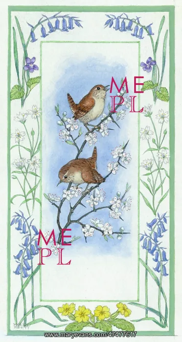 : Two wrens on blackthorn, with flower border : Two wrens on blackthorn, with flower border