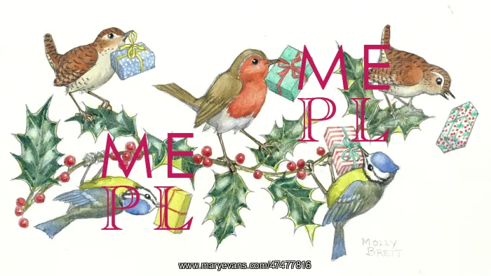 : Wrens, blue tits and robin holding presents : Wrens, blue tits and robin holding presents