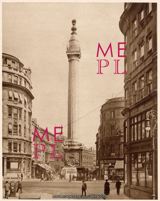 : Wren's Monument, London : Wren's Monument, London