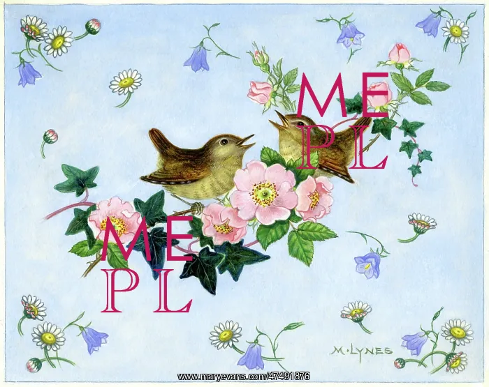 : Two wrens with wild roses, harebells and daisies : Two wrens with wild roses, harebells and daisies