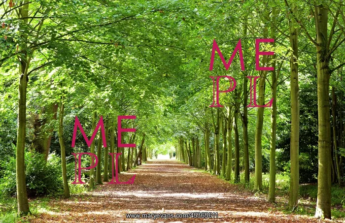 : Wrest Park Gardens : Wrest Park Gardens
