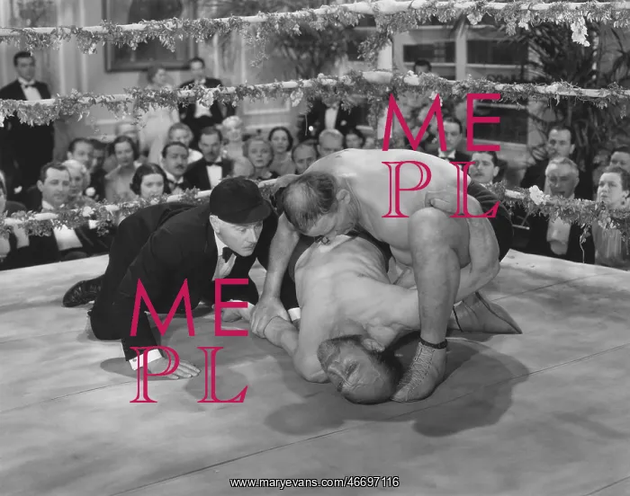 : Wrestle mania : Wrestle mania