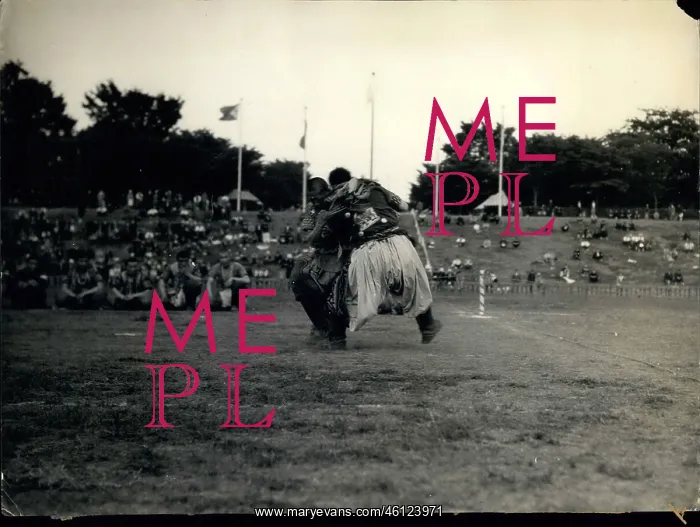 : Wrestling ------ Fake - Professional - Sumo : Wrestling ------ Fake - Professional - Sumo