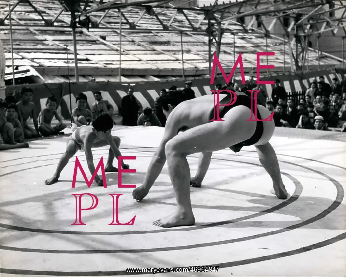 : Wrestling ------ Fake - Professional - Sumo : Wrestling ------ Fake - Professional - Sumo