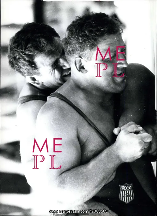 : Wrestling ------ Fake - Professional - Sumo : Wrestling ------ Fake - Professional - Sumo