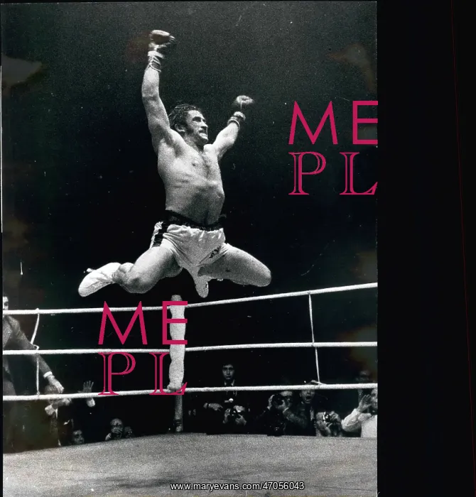 : Wrestling ------ Fake - Professional - Sumo : Wrestling ------ Fake - Professional - Sumo