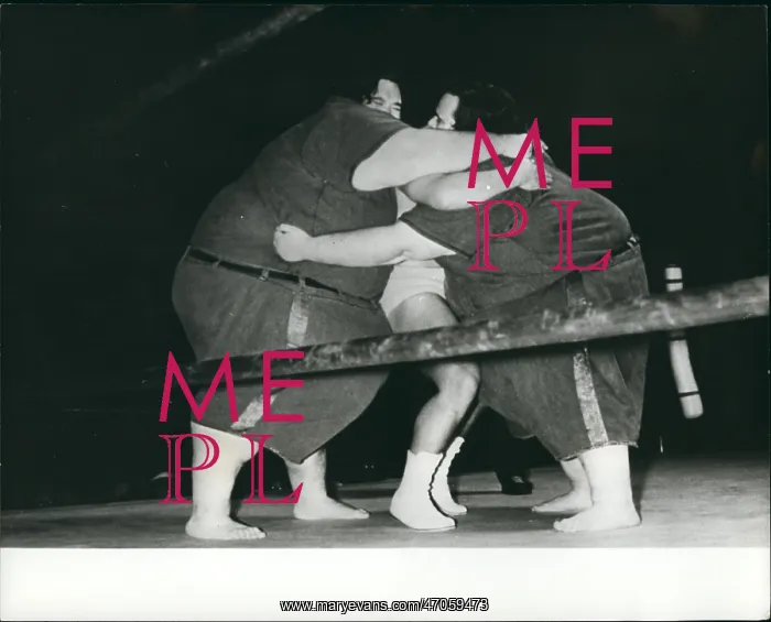 : Wrestling ------ Fake - Professional - Sumo : Wrestling ------ Fake - Professional - Sumo