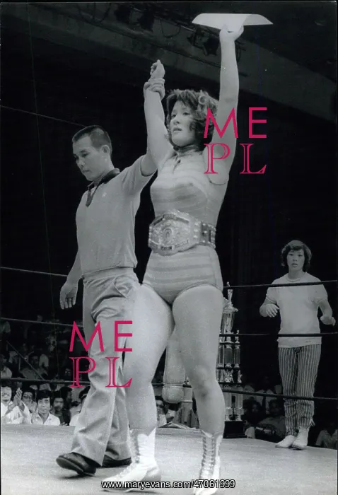 : Wrestling ------ Fake - Professional - Sumo : Wrestling ------ Fake - Professional - Sumo
