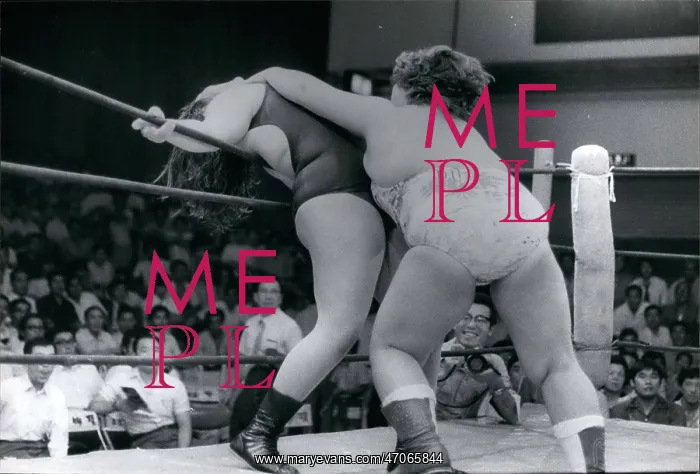 : Wrestling ------ Fake - Professional - Sumo : Wrestling ------ Fake - Professional - Sumo