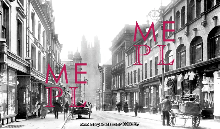  : Wrexham, Hope Street 1903
