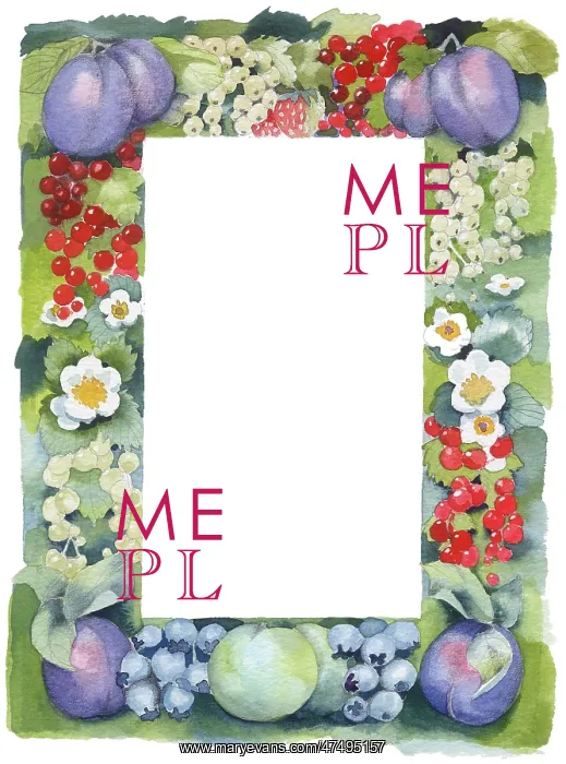 : Writing Paper Border with Fruit and Flowers : Writing Paper Border with Fruit and Flowers