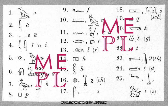 : writing, stripture, ancient world, Egypt, hieroglyphs : writing, stripture, ancient world, Egypt, hieroglyphs