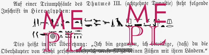 : writing, stripture, ancient world, Egypt, hieroglyphs : writing, stripture, ancient world, Egypt, hieroglyphs