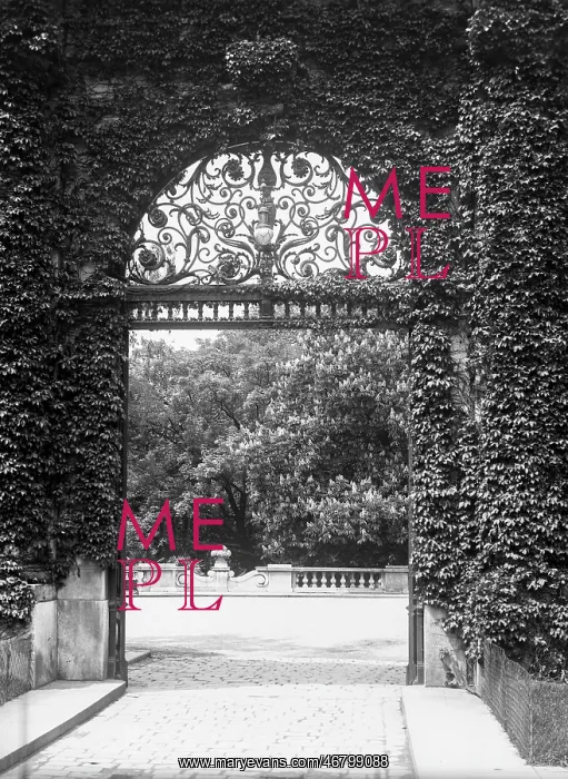 : Wrought iron gate into castle garden in Vienna : Wrought iron gate into castle garden in Vienna