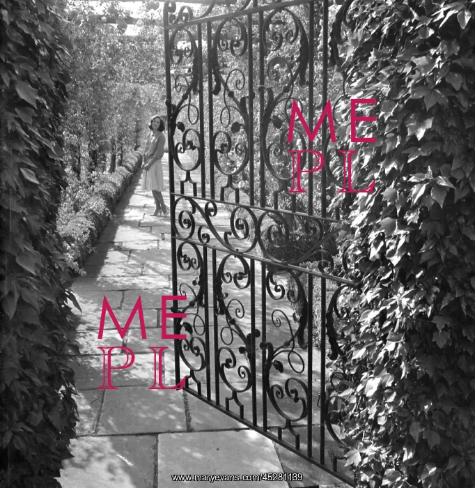 : Wrought iron gate in a garden : Wrought iron gate in a garden