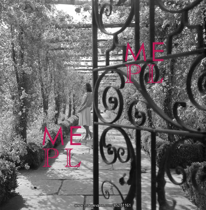 : Wrought iron gate in a garden : Wrought iron gate in a garden
