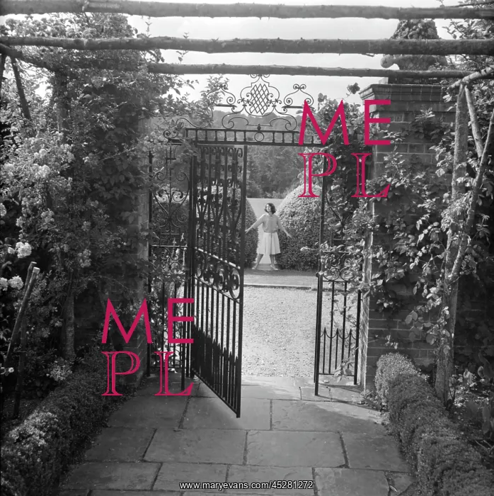 : Wrought iron gate in a garden : Wrought iron gate in a garden