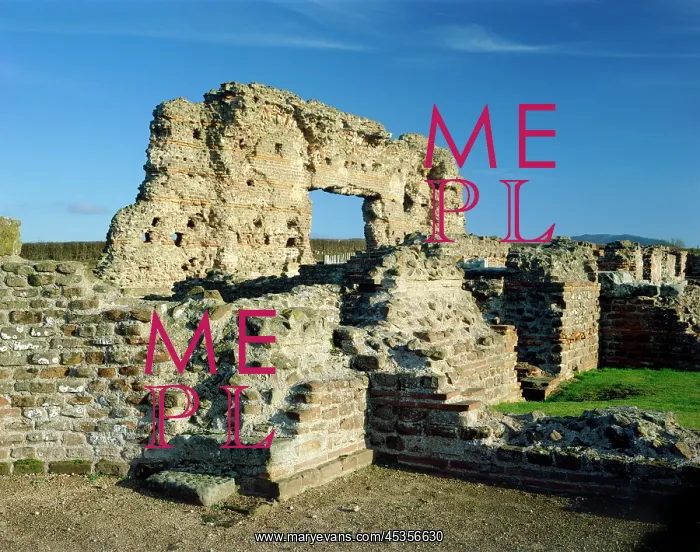 : Wroxeter Roman City : Wroxeter Roman City