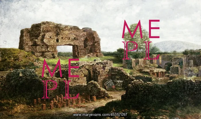 : Wroxeter Roman City : Wroxeter Roman City