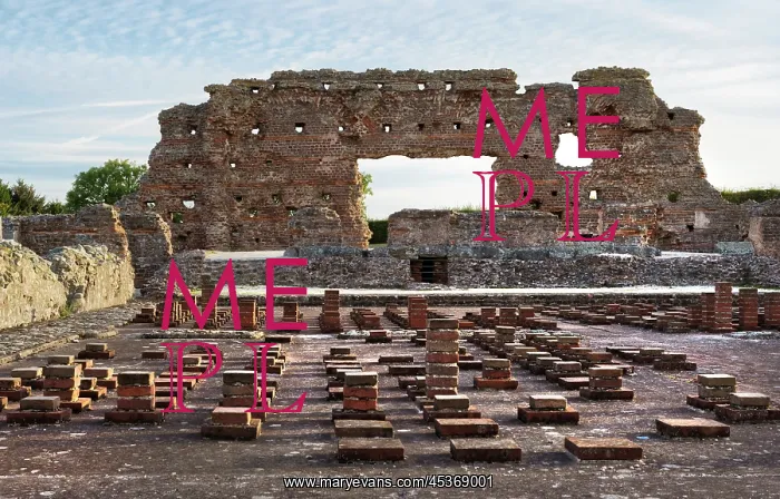 : Wroxeter Roman City : Wroxeter Roman City