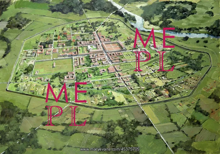 : Wroxeter Roman City : Wroxeter Roman City