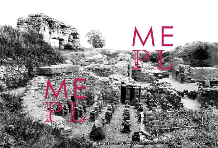  : Wroxeter, the ruined Bath House c1864