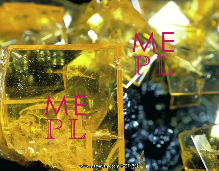 : Wulfenite comprises of (lead molybdate) and is characterized by thin : Wulfenite comprises of (lead molybdate) and is characterized by thin