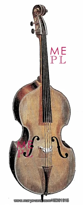  : Wurlitzer Double Bass